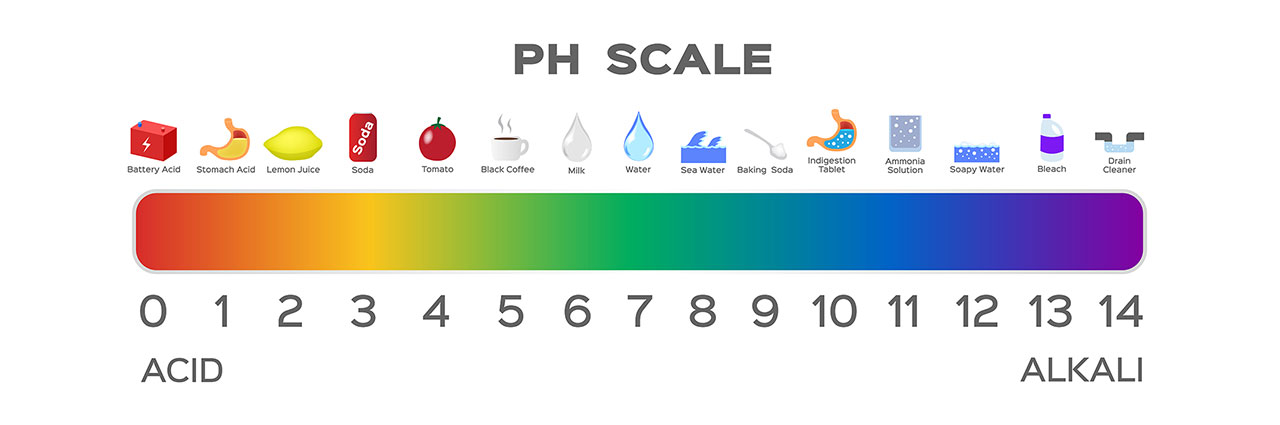 pH Balance Scale