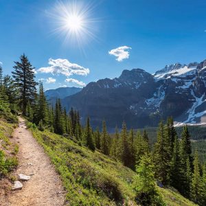 Rockies Shade