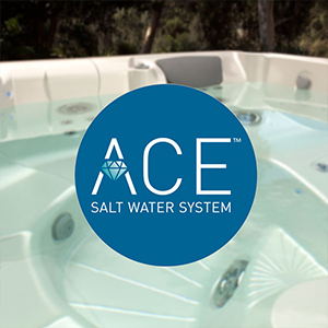 Ace Salt System Maintenance and Cleaning Family Image