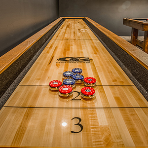 Olhausen Shuffleboard Table Basics Family Image