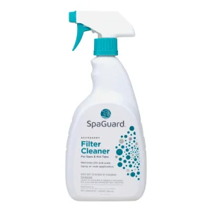Filter Cleaner (1QT)